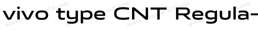 vivo type CNT Regula字体转换